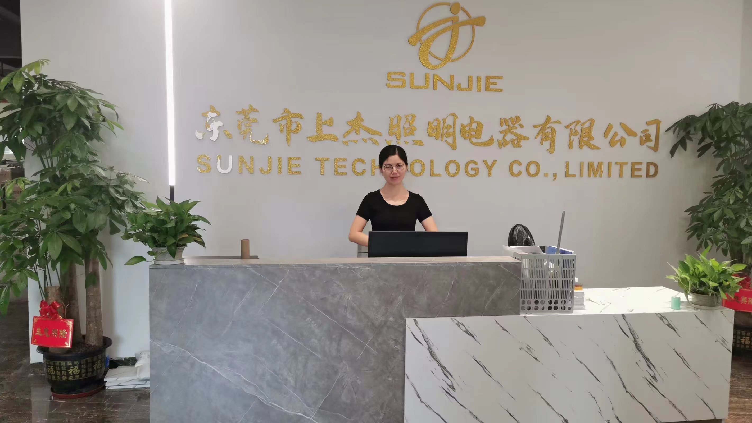 Sunjie Technology Co., Limited