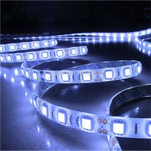 SMD5050 LED Strips 30leds/m